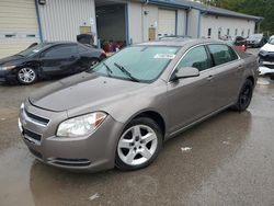 Chevrolet salvage cars for sale: 2010 Chevrolet Malibu 1LT