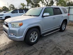 Toyota salvage cars for sale: 2010 Toyota 4runner SR5