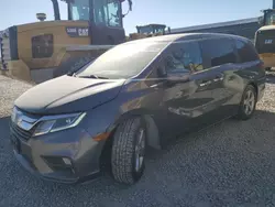 Honda Vehiculos salvage en venta: 2018 Honda Odyssey EXL