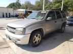 2007 Chevrolet Trailblazer LS