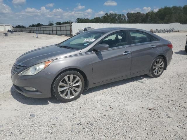 2013 Hyundai Sonata SE