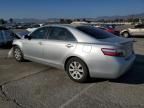 2007 Toyota Camry Hybrid