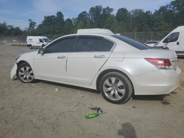 2008 Honda Accord EXL