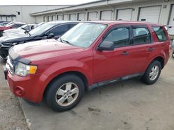 Salvage cars for sale at Louisville, KY auction: 2011 Ford Escape XLS