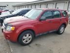 2011 Ford Escape XLS