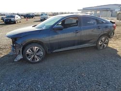 Honda Civic Vehiculos salvage en venta: 2017 Honda Civic EXL