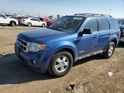 Salvage cars for sale at Brighton, CO auction: 2008 Ford Escape XLT