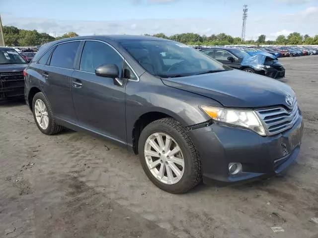 2010 Toyota Venza