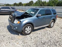 Salvage cars for sale at Memphis, TN auction: 2010 Ford Escape XLT