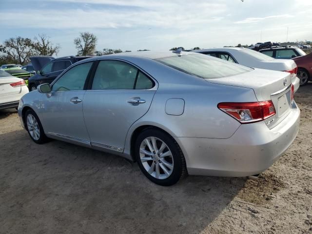 2010 Lexus ES 350