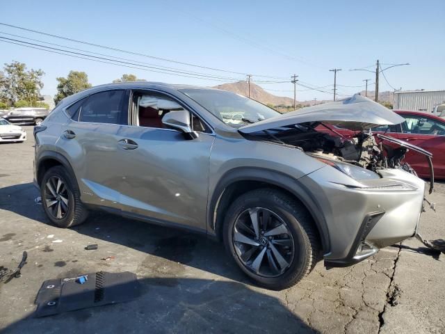 2020 Lexus NX 300H