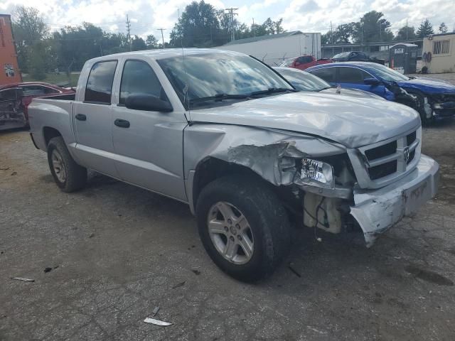 2010 Dodge Dakota SXT