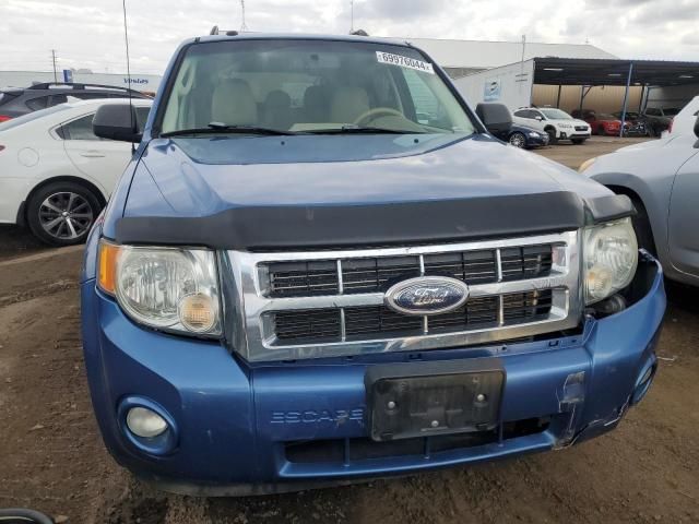 2009 Ford Escape XLT