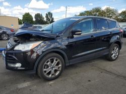 Ford salvage cars for sale: 2013 Ford Escape SEL