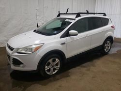 Salvage cars for sale at Windsor, NJ auction: 2013 Ford Escape SE