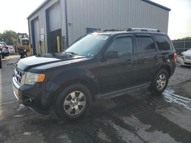 2010 Ford Escape Limited