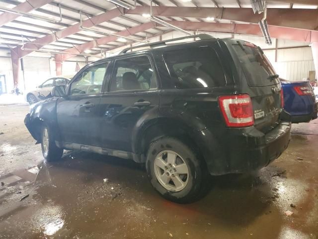 2009 Ford Escape XLT