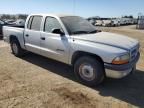 2001 Dodge Dakota Quattro