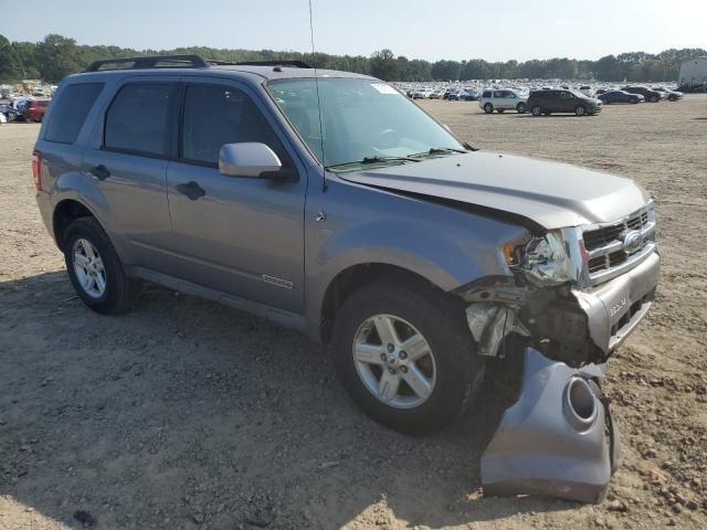 2008 Ford Escape HEV