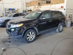 Carros con título limpio a la venta en subasta: 2011 KIA Sorento Base