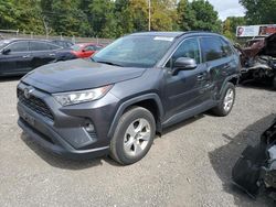 Toyota rav4 xle salvage cars for sale: 2021 Toyota Rav4 XLE