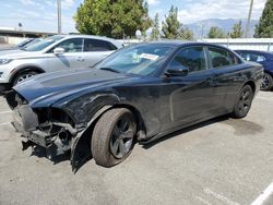 Salvage cars for sale at Rancho Cucamonga, CA auction: 2013 Dodge Charger SE