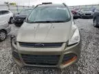 2013 Ford Escape S