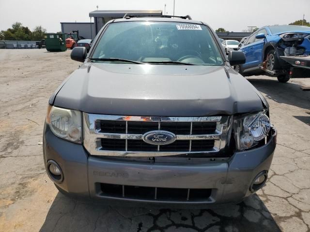 2011 Ford Escape XLT