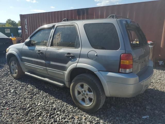 2007 Ford Escape XLT