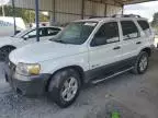 2007 Ford Escape HEV