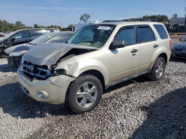 2011 Ford Escape XLT