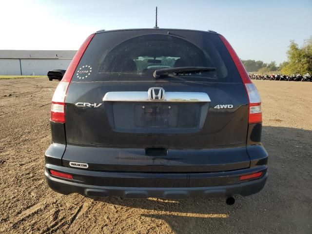 2010 Honda CR-V EXL