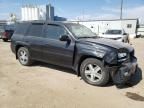 2008 Chevrolet Trailblazer LS