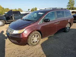 Salvage cars for sale at Columbia Station, OH auction: 2011 Honda Odyssey EXL