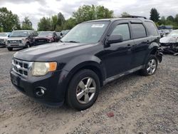 Ford salvage cars for sale: 2011 Ford Escape XLT