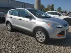 2013 Ford Escape S