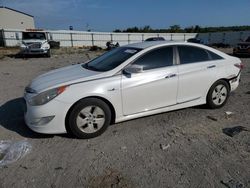 Hyundai salvage cars for sale: 2012 Hyundai Sonata Hybrid