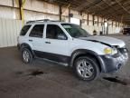 2006 Ford Escape XLT