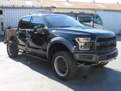 Salvage trucks for sale at Wilmington, CA auction: 2017 Ford F150 Raptor