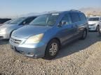 2007 Honda Odyssey EXL