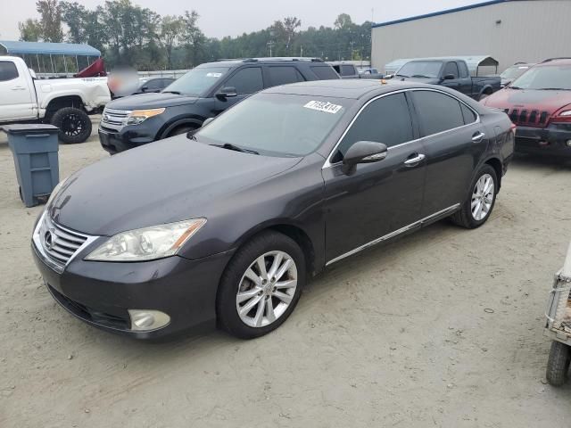 2010 Lexus ES 350