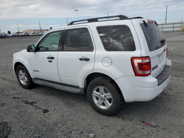 2010 Ford Escape Hybrid