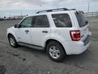 2010 Ford Escape Hybrid