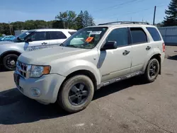 2008 Ford Escape XLT en venta en Ham Lake, MN