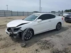 Salvage cars for sale at Lumberton, NC auction: 2014 Honda Accord EXL