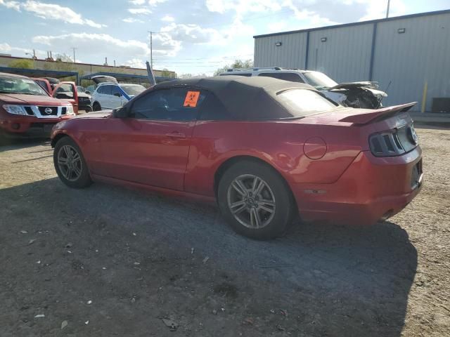 2013 Ford Mustang