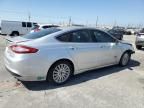 2013 Ford Fusion Titanium Phev