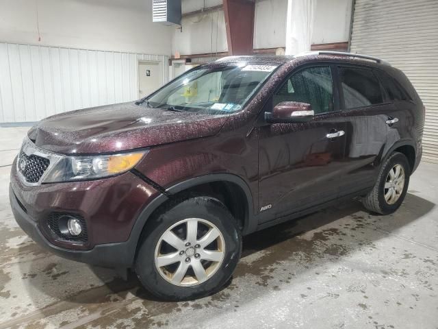 2011 KIA Sorento Base