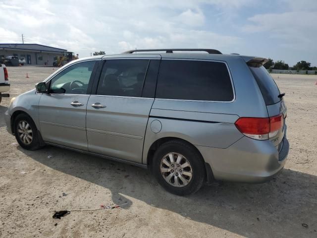 2008 Honda Odyssey EXL