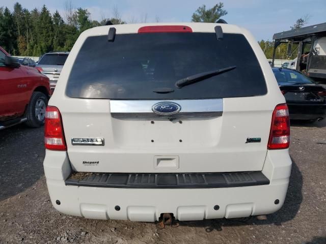 2012 Ford Escape Limited